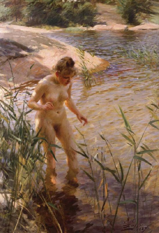 Reflex, Anders Zorn